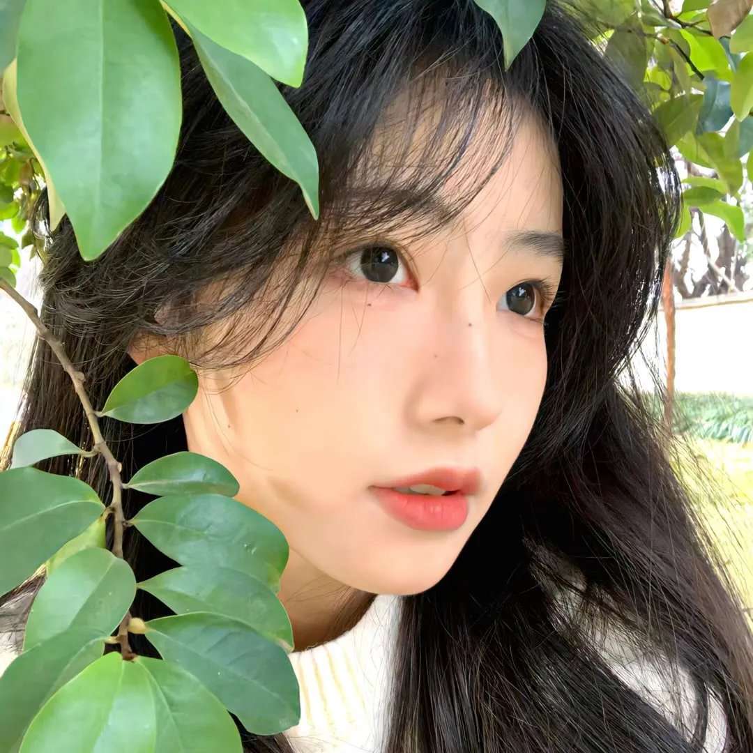 莎拉的一生