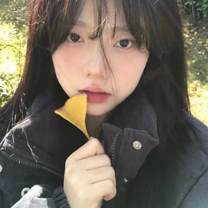 无为大师第三季